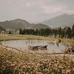 فندق Alpe Dornach اوبرستدورف